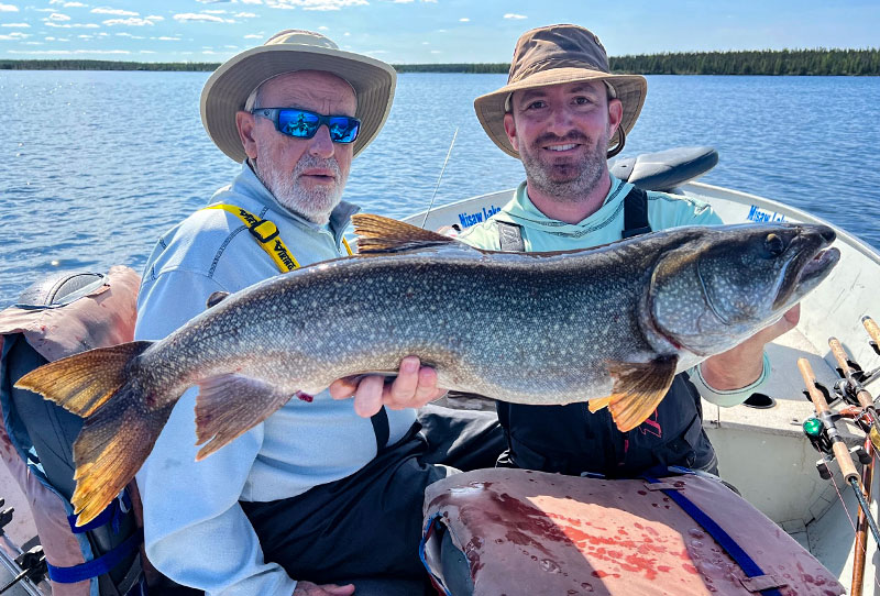 Lake Trout