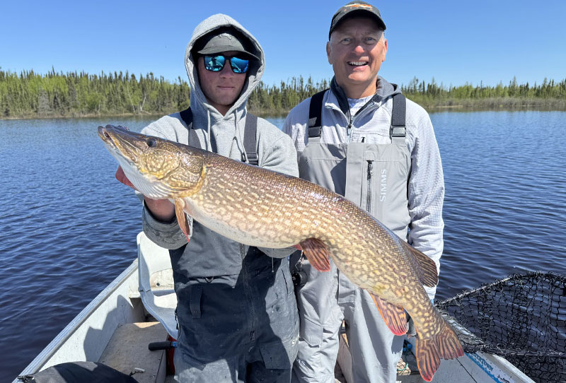 Giant Northern Pike